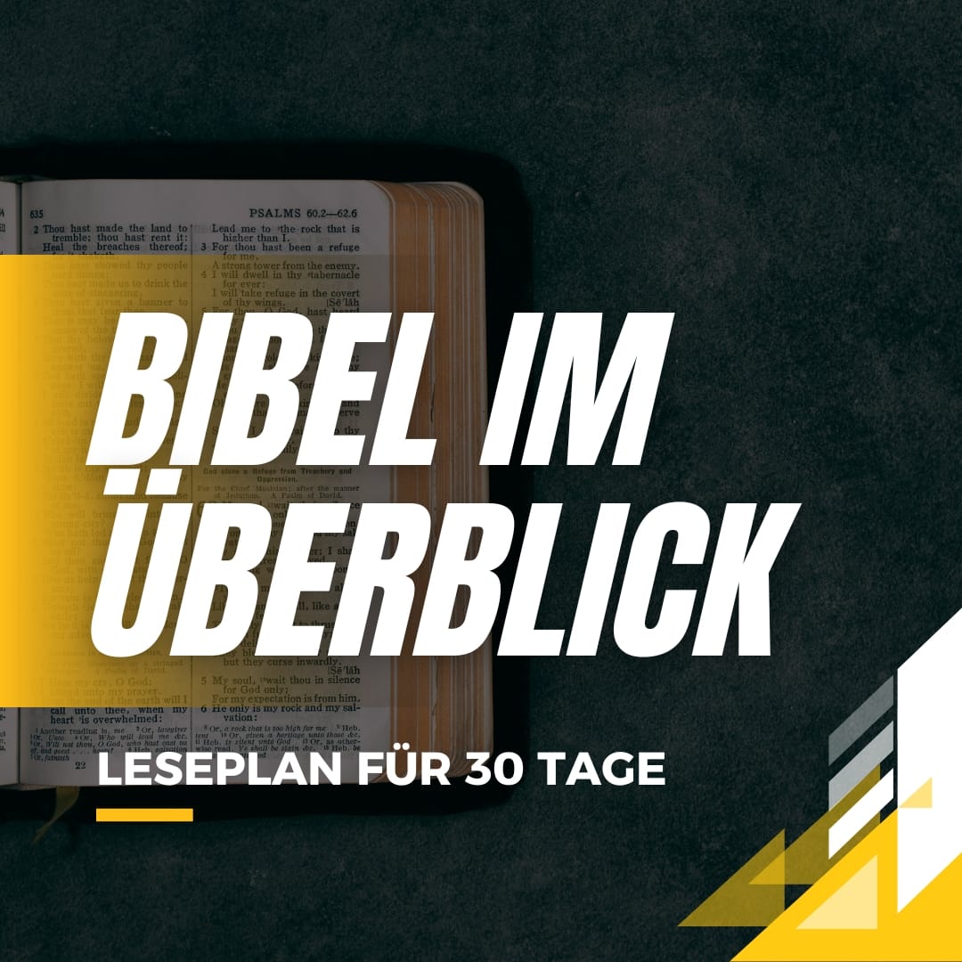 Die Bibel in 30 Tagen – ein Überblick